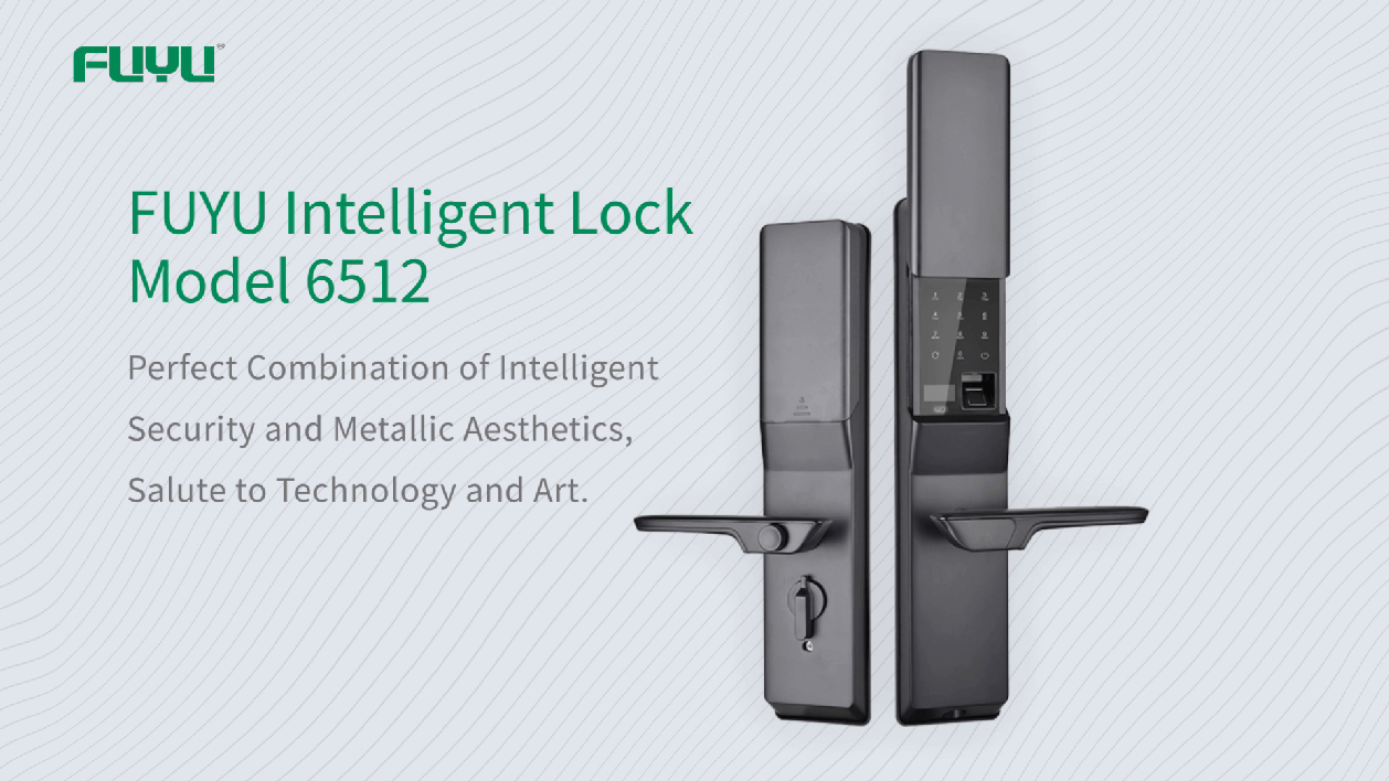 Digital door lock 6512 demonstration