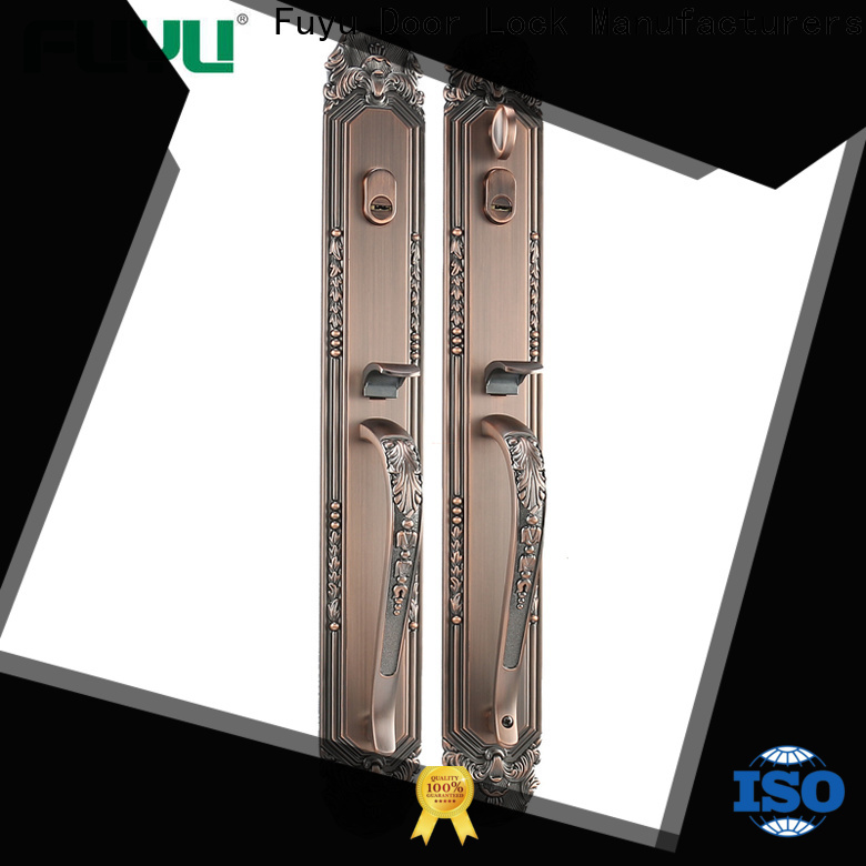 FUYU New zinc alloy handle door lock meet your demands for mall
