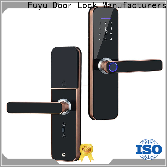 FUYU lock top smart lock for apartment supply for entry door