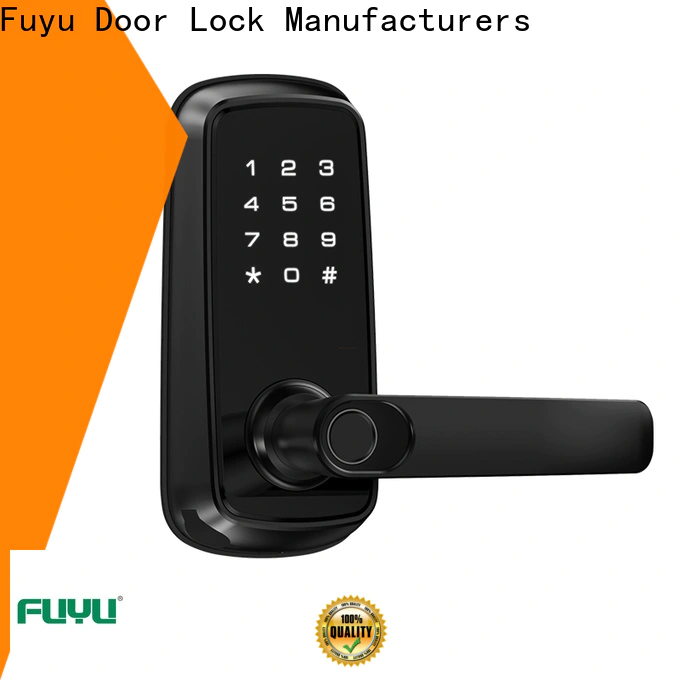 FUYU lock oem new door locks with international standard for entry door