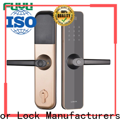 FUYU lock fuyu smart lock for apartment for business for building