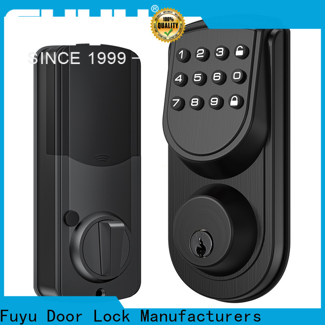 FUYU lock New biometric fingerprint door lock extremely security for door