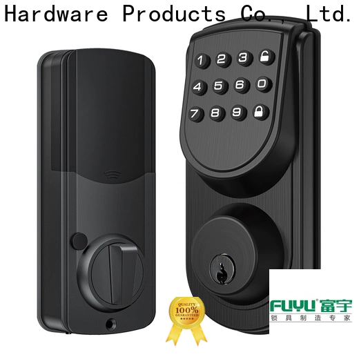 FUYU lock wholesale fingerprint sensor door lock in china for gate