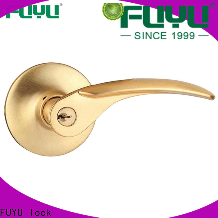 FUYU lock double cylinder lever lock company for entry door