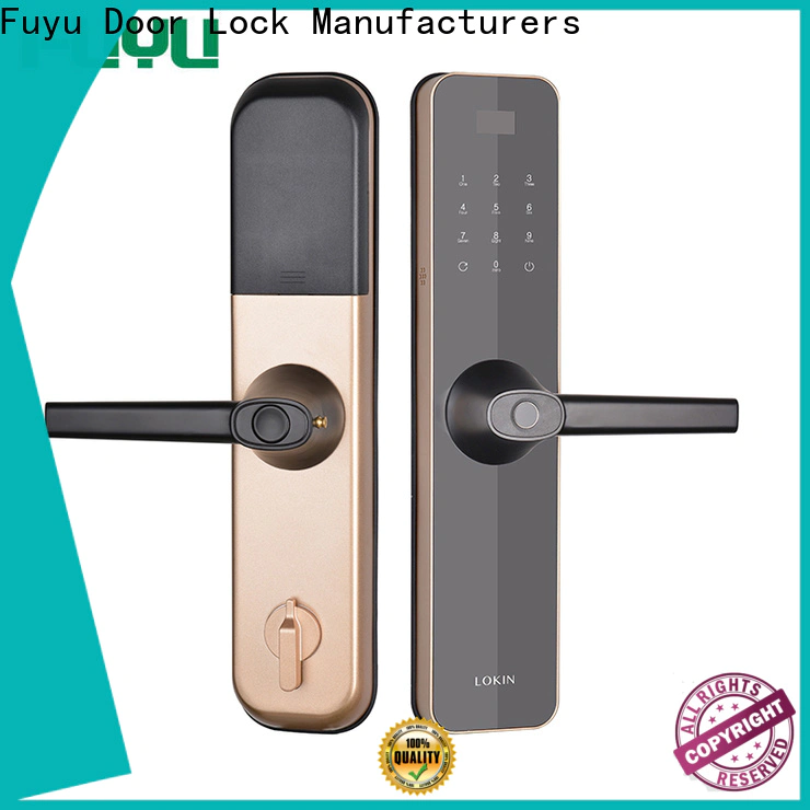 FUYU oem smart home door lock for home