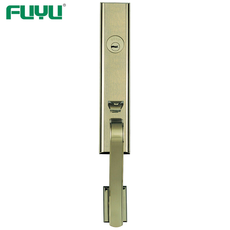FUYU biometric exterior door lock factory for shop
