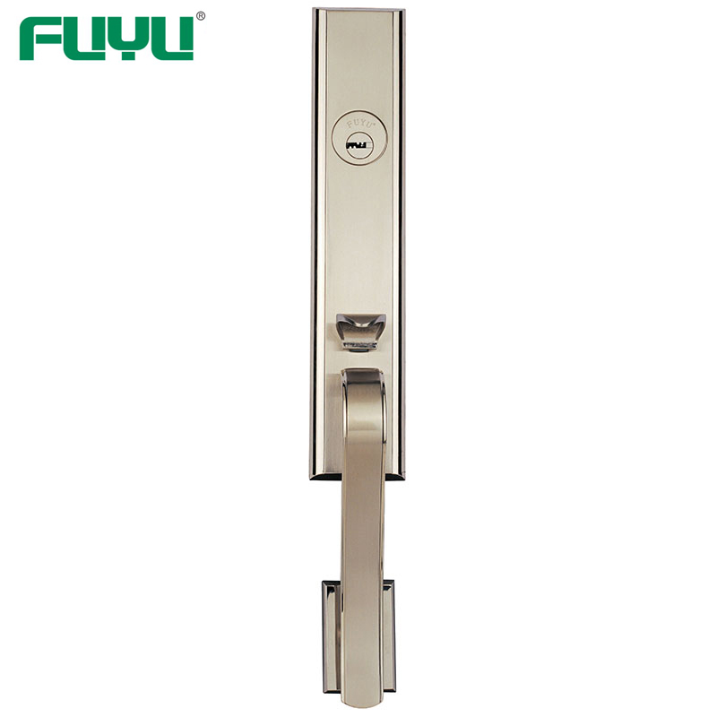 news-quality handle door lock supplier for home-FUYU lock-img