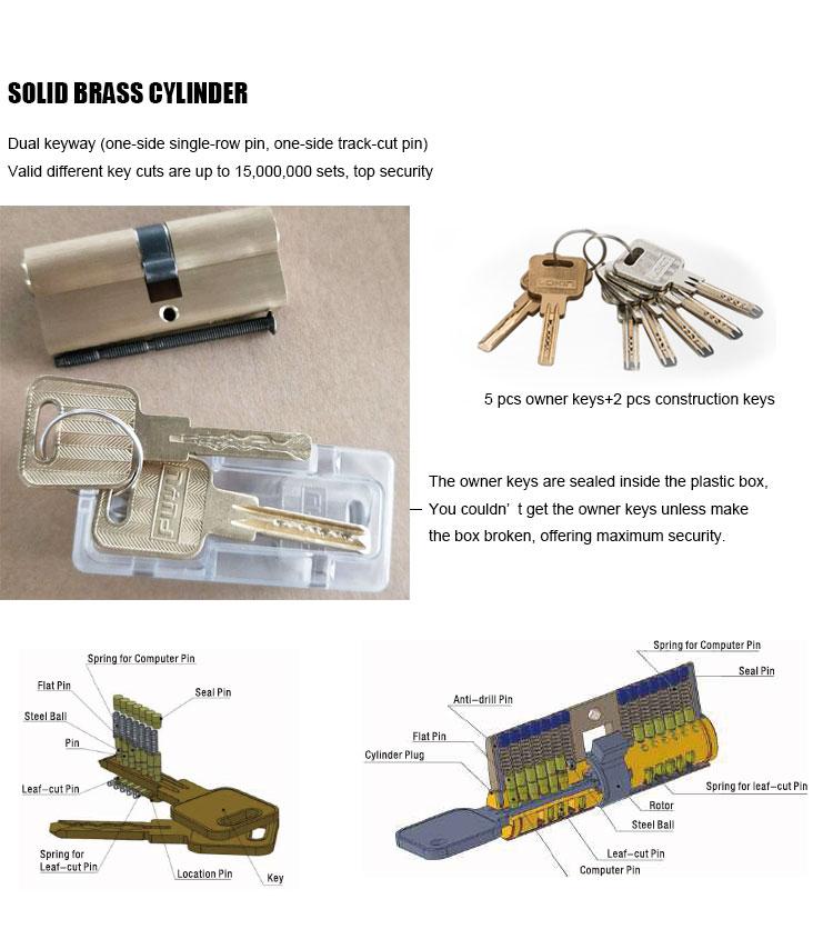 FUYU online zinc alloy handle door lock on sale for mall-4