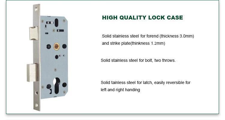 FUYU high security mortise entry lock set with international standard for wooden door