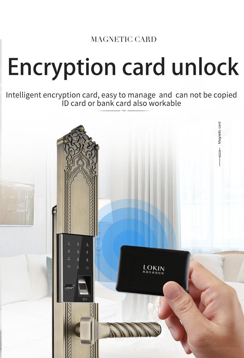 product-fingerprint door lock-FUYU-img-1