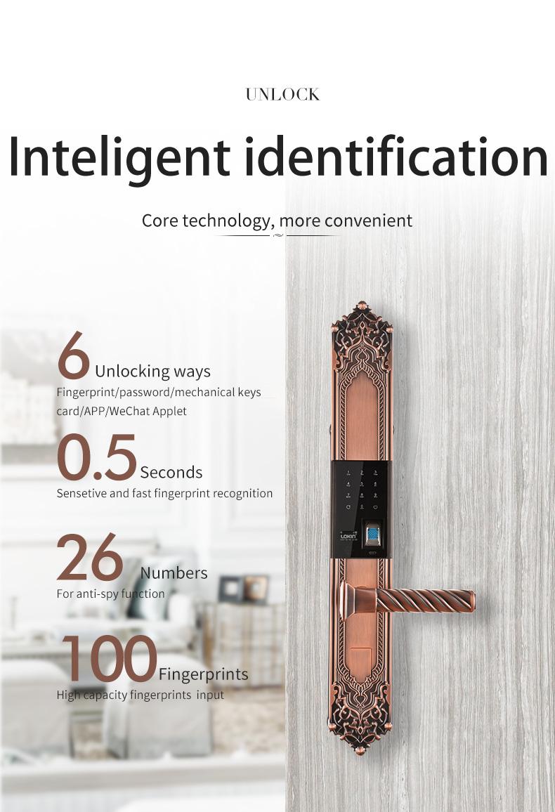 product-Modern fingerprint door lock with tuya smart APP-FUYU-img