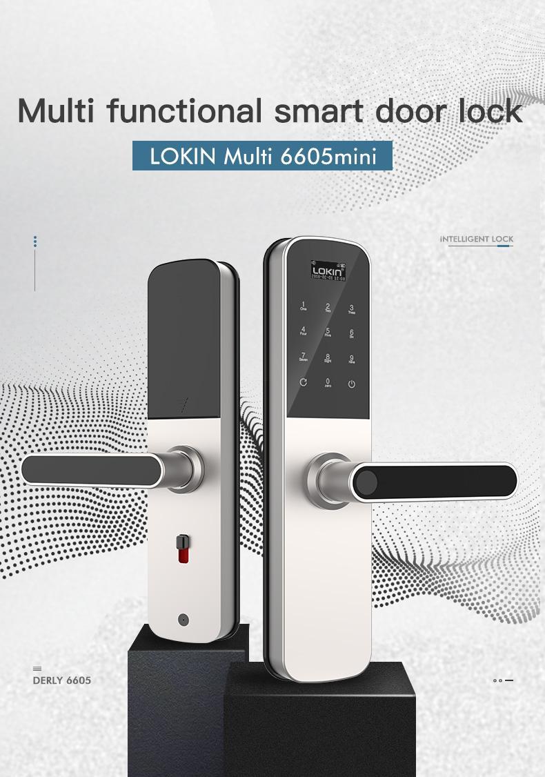FUYU electronic entry lock with international standard for entry door