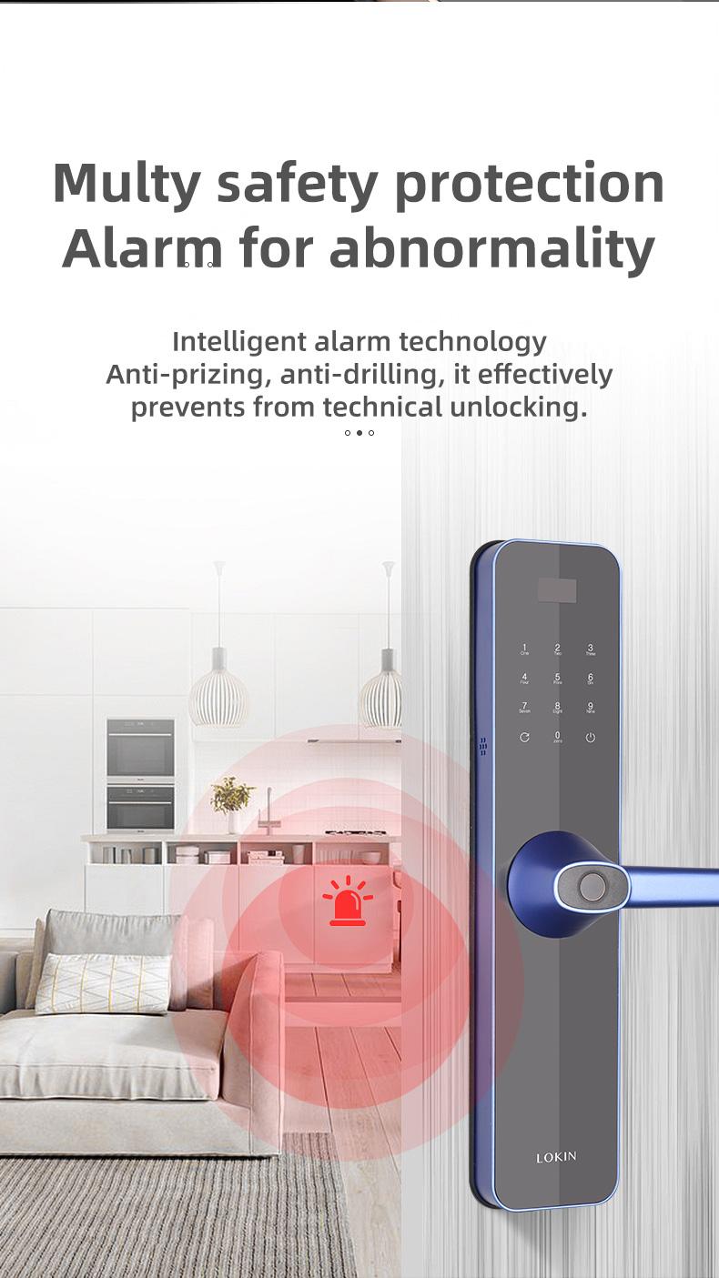 FUYU oem smart home door lock for home-5