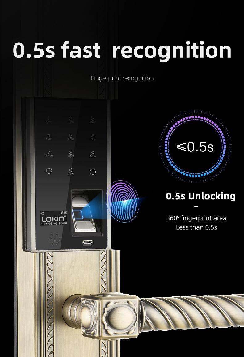 FUYU biometric door lock on sale for residential