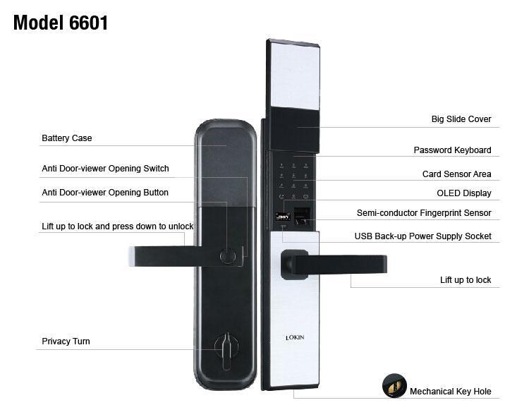FUYU electronic front door lock supplier for gate