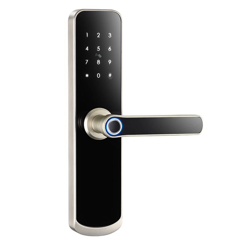 Simple Design Long Panel Lever Handle TUYA TTLock Smart Door Lock