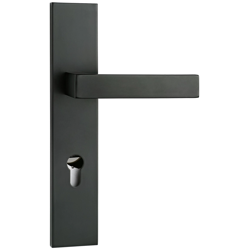 Black Panel Lever handle main door lock