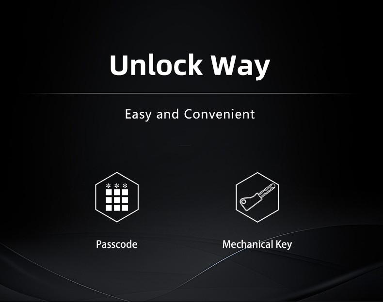 FUYU lock smart entry door locks factory for home-2