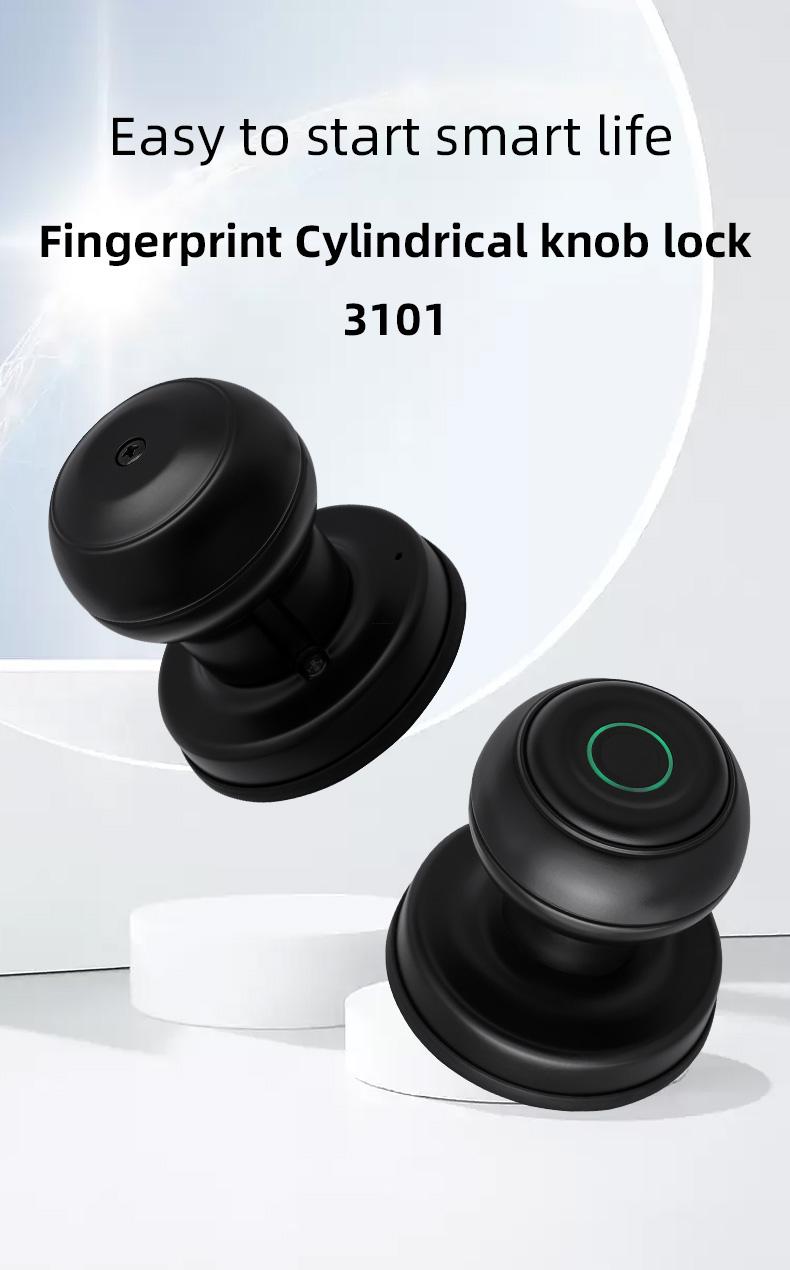 product-New Arrival FUYU Smart Lock Intelligent Round Lock Fingerprint Password Card Lock With TUYU 