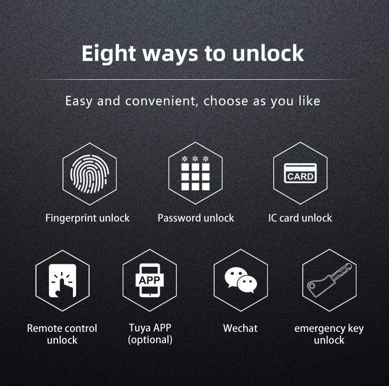 product-FUYU lock-Security Digital Door Lock Tuya Bluetooth Biometric Fingerprint Smart Door Lock-im