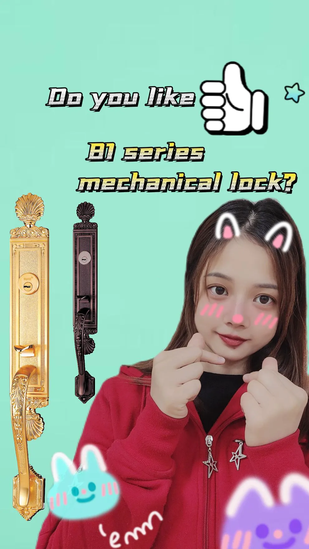 Fuyu Door Lock Factory High Quality Mortise Lock Handle Lock Grip Lock
