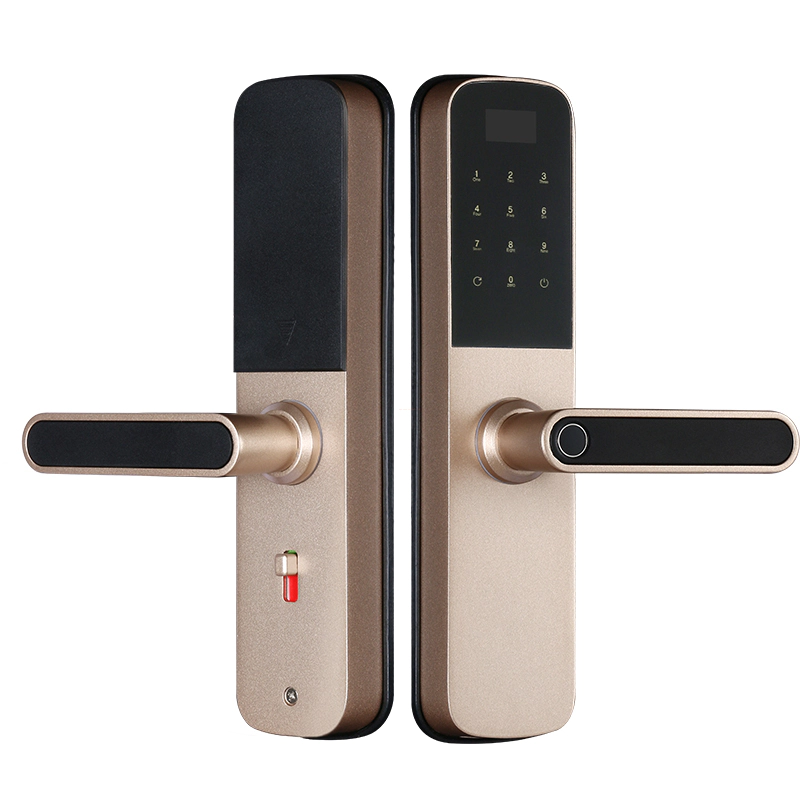 FUYU Door Lock Factory Wholesale Smart Door Lock  Wi-fi Smart Lock