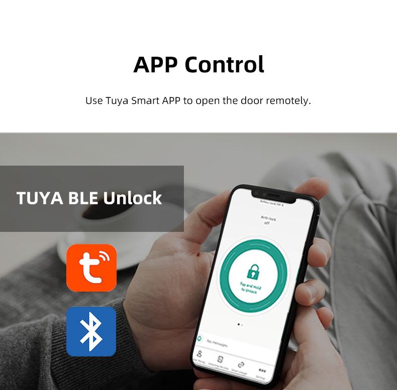 product-FUYU lock-img