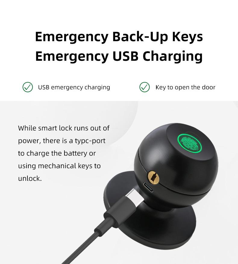 product-Newly Upgraded Electronic Lock Intelligent Fingerprint Cylindrical Knob Lock-FUYU lock-img