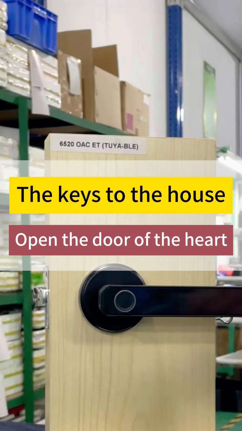 New Arrival Smart Door Lock Digital Lever Handle Door Lock