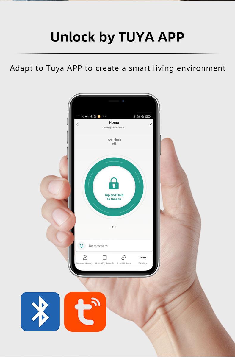 news-High quality intelligent door lock with facial recognition for quick unlocking-FUYU lock-img-4